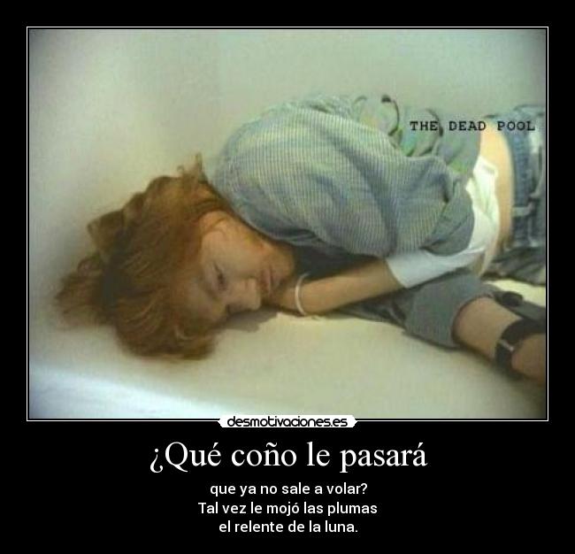 ¿Qué coño le pasará - que ya no sale a volar?
Tal vez le mojó las plumas
el relente de la luna.