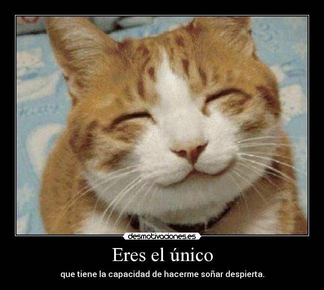 Eres el único - que tiene la capacidad de hacerme soñar despierta.