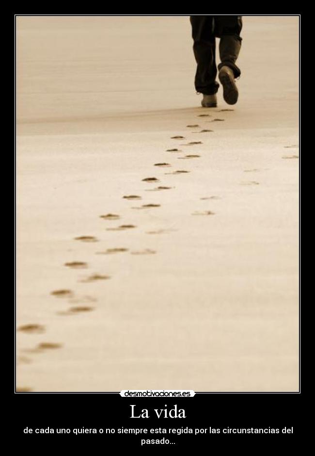 La vida -