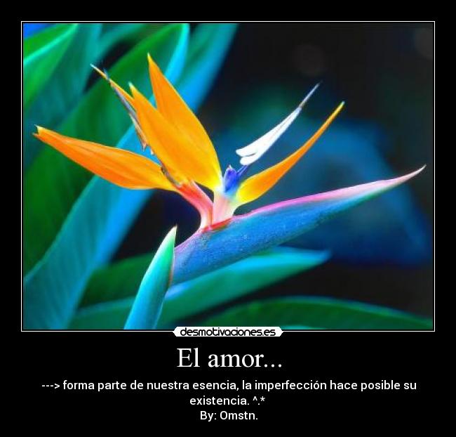 El amor... -