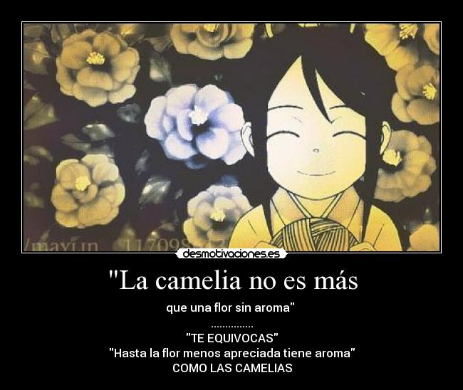 La camelia no es más - 