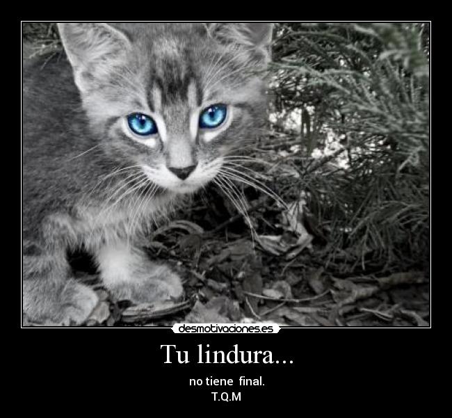Tu lindura... - 