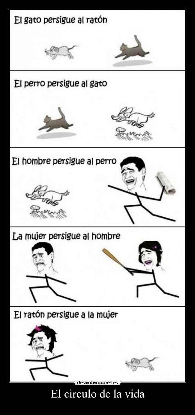 El circulo de la vida - 