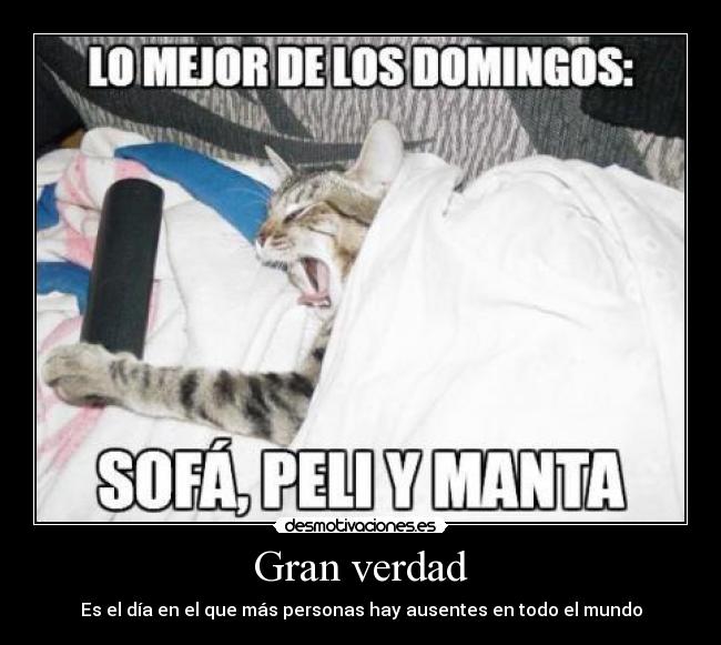 Gran verdad - Es el día en el que más personas hay ausentes en todo el mundo