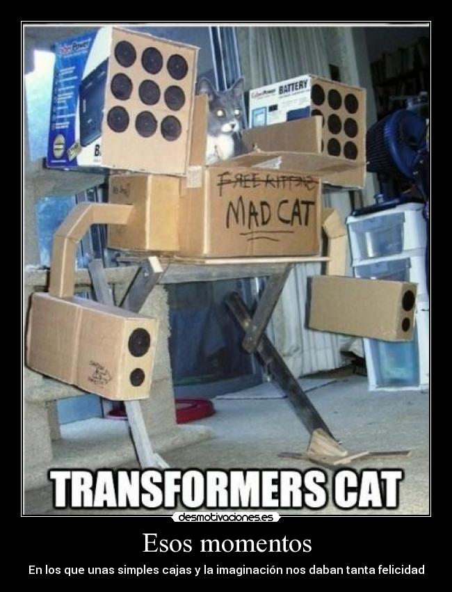 Esos momentos - En los que unas simples cajas y la imaginación nos daban tanta felicidad