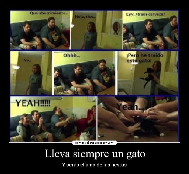 Lleva siempre un gato - Y serás el amo de las fiestas