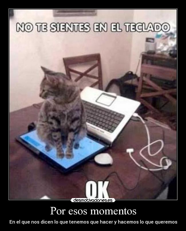 Por esos momentos - En el que nos dicen lo que tenemos que hacer y hacemos lo que queremos