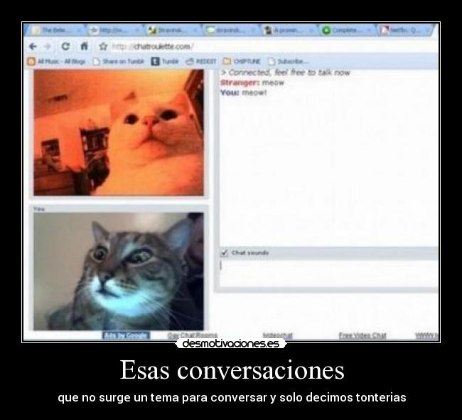 Esas conversaciones - que no surge un tema para conversar y solo decimos tonterias