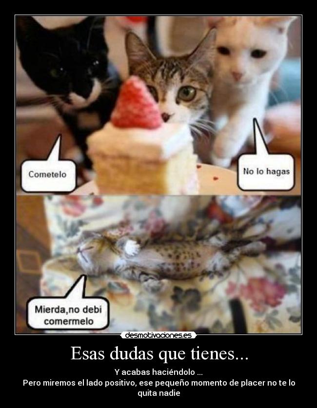 Esas dudas que tienes... - Y acabas haciéndolo ...
Pero miremos el lado positivo, ese pequeño momento de placer no te lo quita nadie