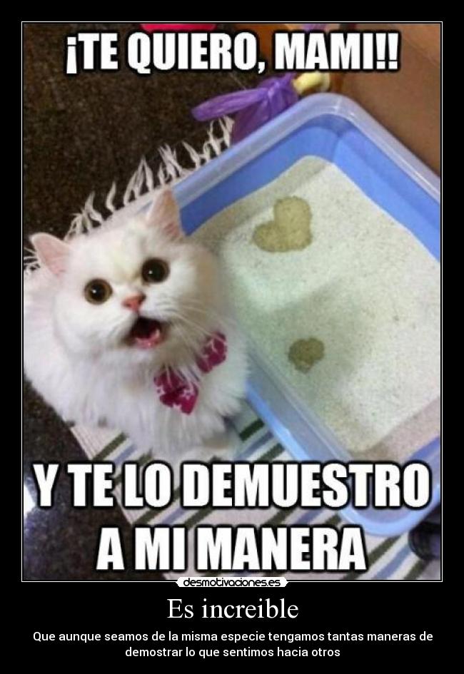 Es increible - Que aunque seamos de la misma especie tengamos tantas maneras de
demostrar lo que sentimos hacia otros