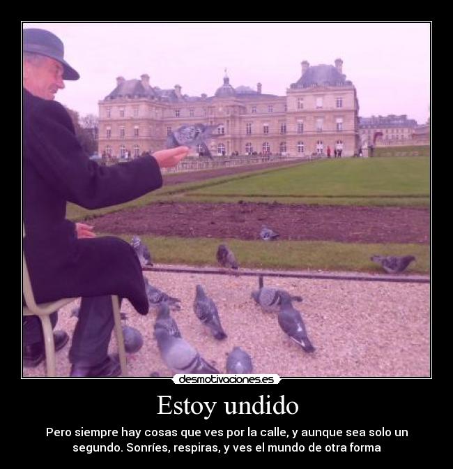 Estoy undido - Pero siempre hay cosas que ves por la calle, y aunque sea solo un
segundo. Sonríes, respiras, y ves el mundo de otra forma
