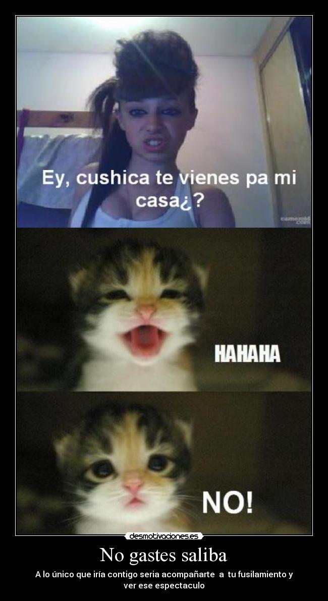 No gastes saliba - A lo único que iría contigo seria acompañarte  a  tu fusilamiento y ver ese espectaculo