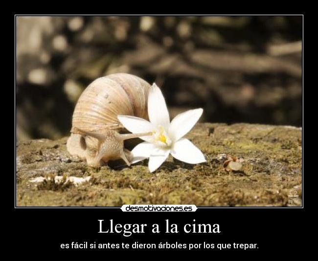 Llegar a la cima - 