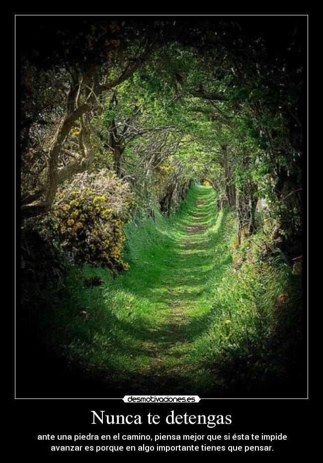 Nunca te detengas - ante una piedra en el camino, piensa mejor que si ésta te impide
avanzar es porque en algo importante tienes que pensar.
