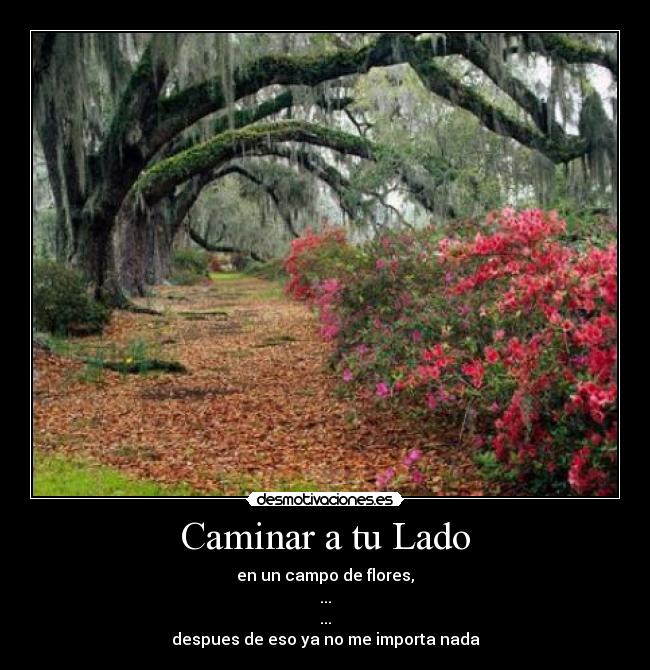 carteles motivacion dilema desmotivaciones