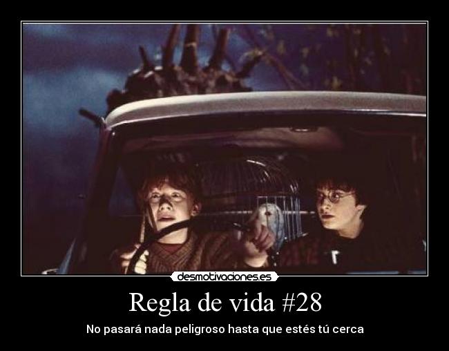 Regla de vida #28 - 