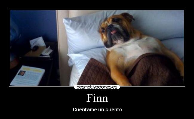 Finn - 