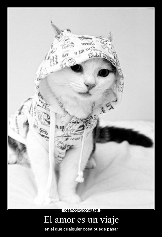 El amor es un viaje - en el que cualquier cosa puede pasar