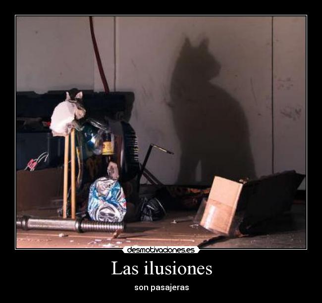 Las ilusiones -