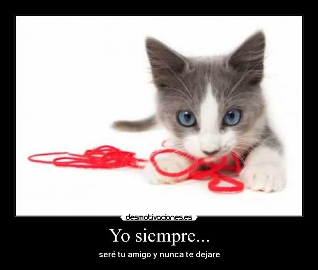 Yo siempre... -