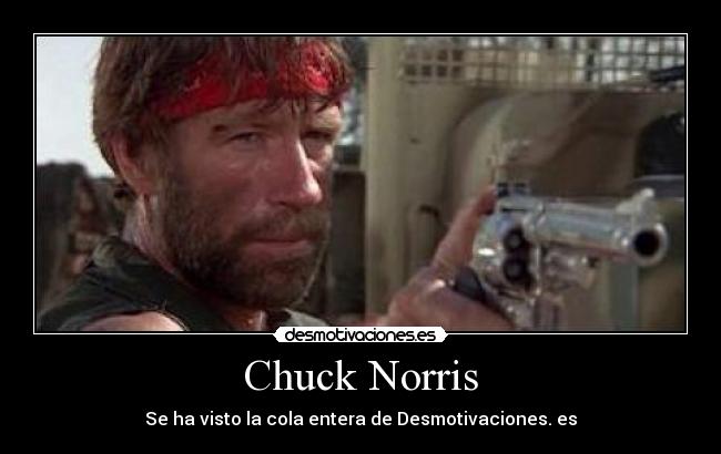 Chuck Norris - Se ha visto la cola entera de Desmotivaciones. es