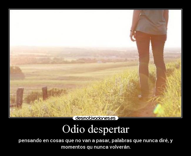 carteles odio despertar desmotivaciones