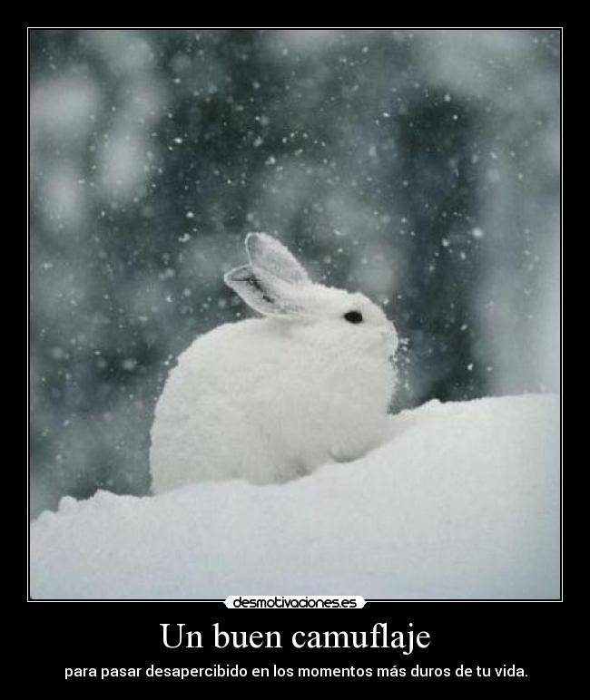 Un buen camuflaje - para pasar desapercibido en los momentos más duros de tu vida.