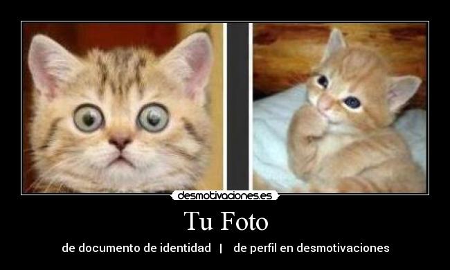 Tu Foto - de documento de identidad | de perfil en desmotivaciones
