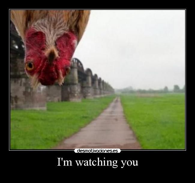 Im watching you - 