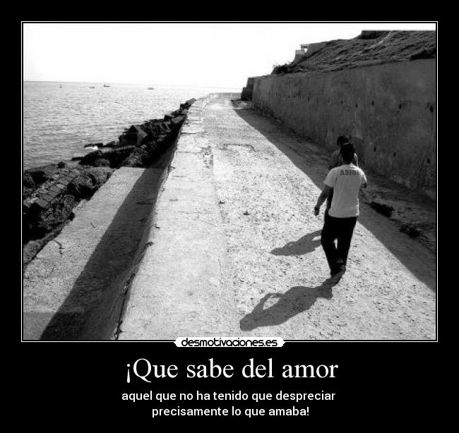 ¡Que sabe del amor - 