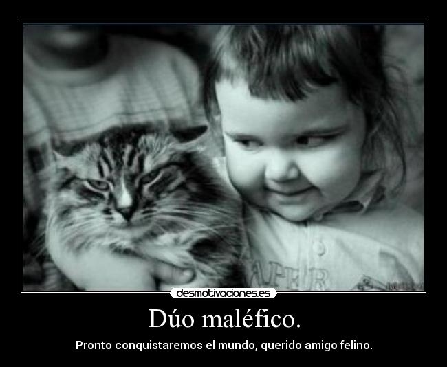 Dúo maléfico. - Pronto conquistaremos el mundo, querido amigo felino.