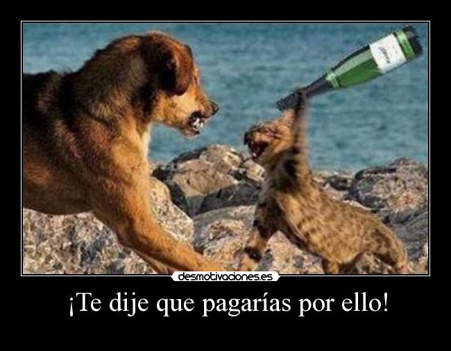 ¡Te dije que pagarías por ello! - 