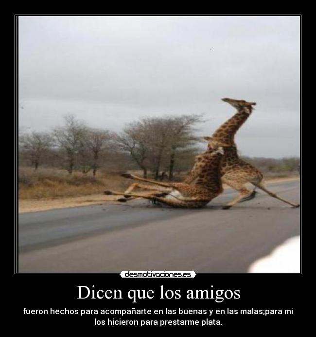 Dicen que los amigos - fueron hechos para acompañarte en las buenas y en las malas;para mi
los hicieron para prestarme plata.