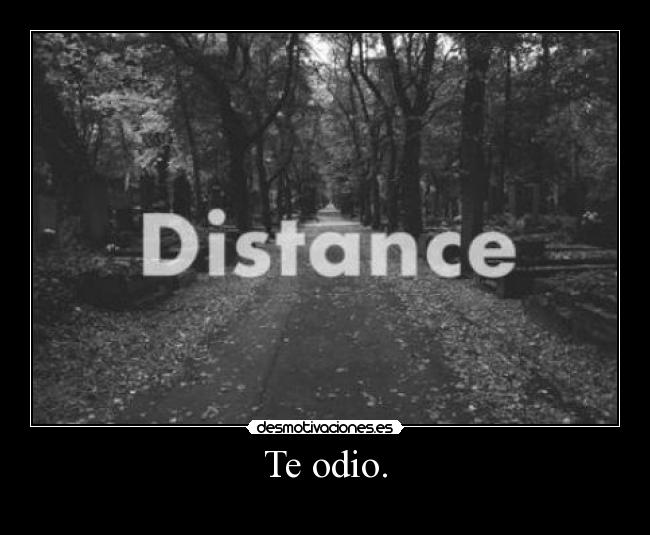 Te odio. -