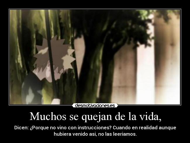 Muchos se quejan de la vida, - Dicen: ¿Porque no vino con instrucciones? Cuando en realidad aunque
hubiera venido asi, no las leeriamos.