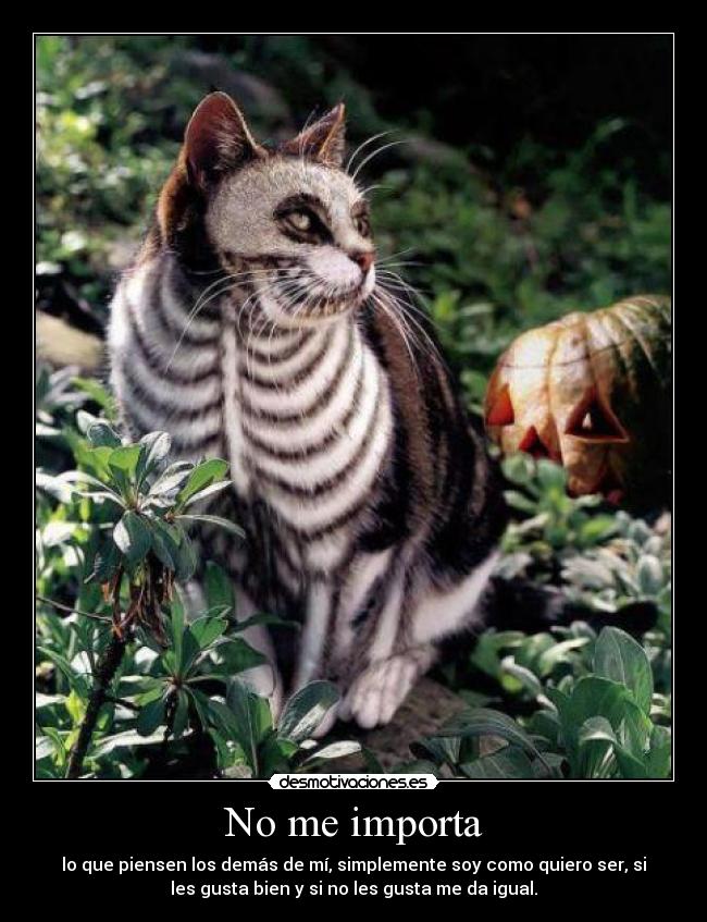 No me importa - lo que piensen los demás de mí, simplemente soy como quiero ser, si
les gusta bien y si no les gusta me da igual.