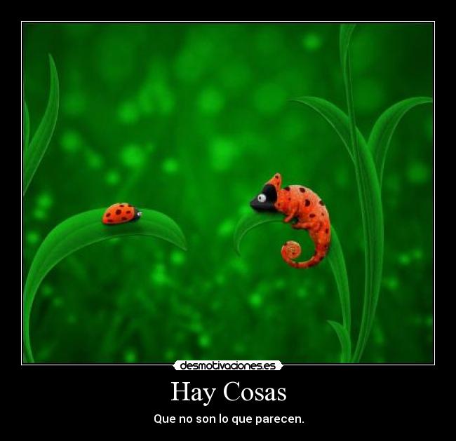 Hay Cosas - Que no son lo que parecen.