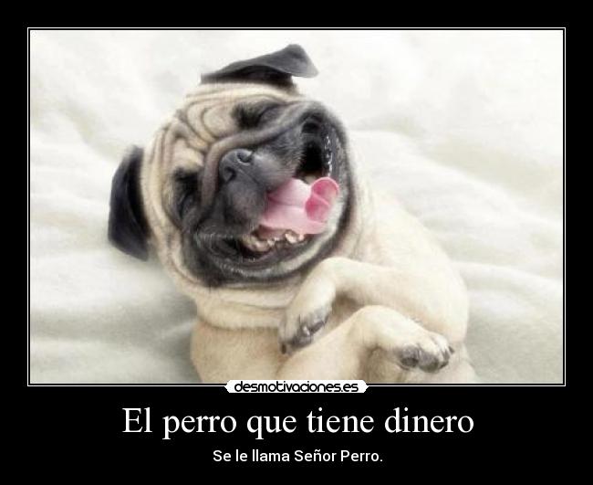 El perro que tiene dinero - Se le llama Señor Perro.