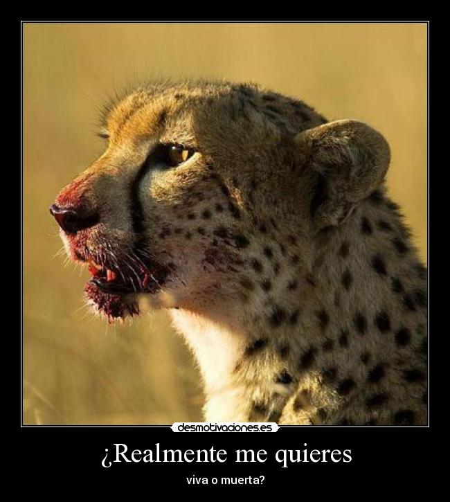 carteles malaquita desmotivaciones