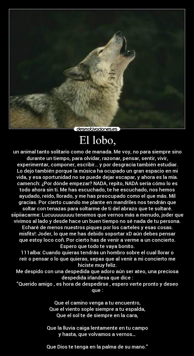 El lobo, - un animal tanto solitario como de manada. Me voy, no para siempre sino
durante un tiempo, para olvidar, razonar, pensar, sentir, vivir,
experimentar, componer, escribir... y por desgracia también estudiar.
Lo dejo también porque la música ha ocupado un gran espacio en mi
vida, y esa oportunidad no se puede dejar escapar, y ahora es la mía.
camench: ¿Por dónde empezar? NADA, repito, NADA sería cómo lo es
todo ahora sin ti. Me has escuchado, te he escuchado, nos hemos
ayudado, reído, llorado, y me has preocupado como el que más. Mil
gracias. Por cierto cuando me plante en mandriles nos tendrán que
soltar con tenazas para soltarme de ti del abrazo que te soltaré.
siipiiacarme: Lucuuuuuuuu tenemos que vernos más a menudo, joder que
vivimos al lado y desde hace un buen tiempo no sé nada de tu persona.
Echaré de menos nuestros piques por los carteles y esas cosas.
misfits!: Joder, lo que me has debido soportar xD aún debes pensar
que estoy loco coñ. Por cierto has de venir a verme a un concierto.
Espero que todo te vaya bonito.
111alba: Cuando quieras tendrás un hombro sobre el cual llorar o
reír o pensar o lo que quieras, sepas que al venir a mi concierto me
hiciste muy feliz.
Me despido con una despedida que adoro aún ser ateo, una preciosa
despedida irlandesa que dice :
Querido amigo , es hora de despedirse , espero verte pronto y deseo
que :
Que el camino venga a tu encuentro,
Que el viento sople siempre a tu espalda,
Que el sol te de siempre en la cara,
Que la lluvia caiga lentamente en tu campo
y hasta, que volvamos a vernos…
Que Dios te tenga en la palma de su mano.