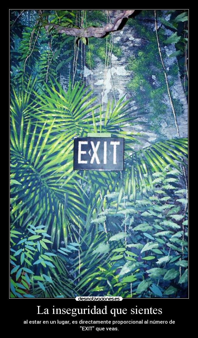 La inseguridad que sientes -