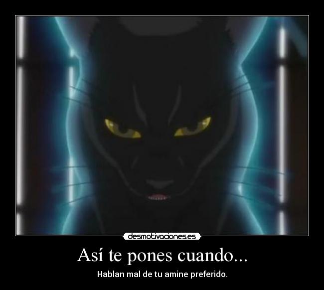 Así te pones cuando... - Hablan mal de tu amine preferido.