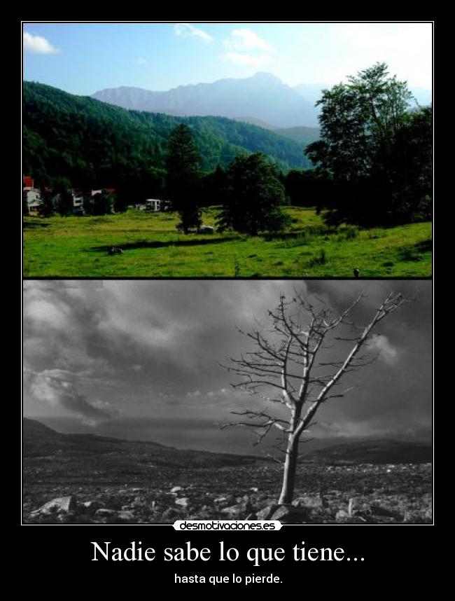 Nadie sabe lo que tiene... - hasta que lo pierde.