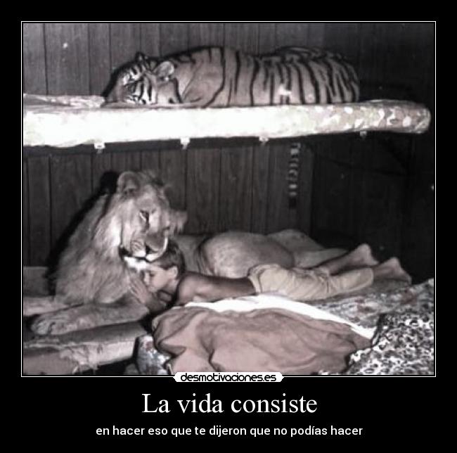 La vida consiste - en hacer eso que te dijeron que no podías hacer