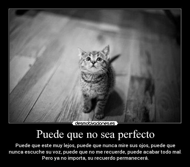 Puede que no sea perfecto - Puede que este muy lejos, puede que nunca mire sus ojos, puede que
nunca escuche su voz, puede que no me recuerde, puede acabar todo mal.
Pero ya no importa, su recuerdo permanecerá.