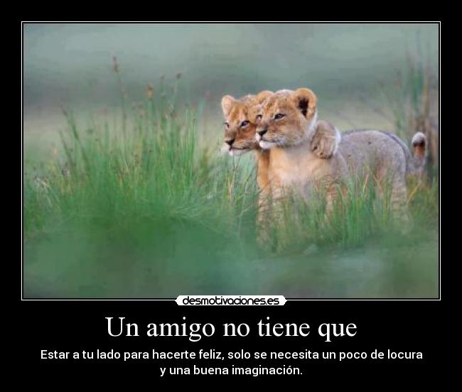 carteles una computadora usuario desmo fernando esta loco pero asi quiere desmotivaciones