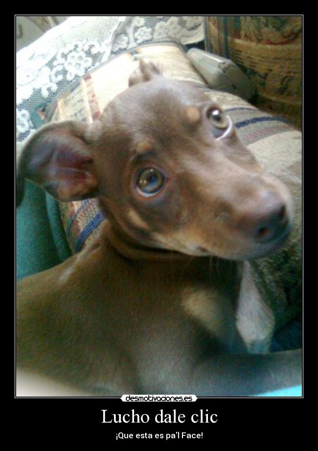 Lucho dale clic - ¡Que esta es pal Face!