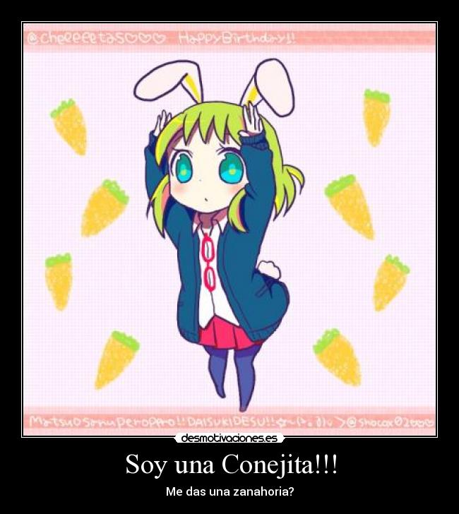 Soy una Conejita!!! -