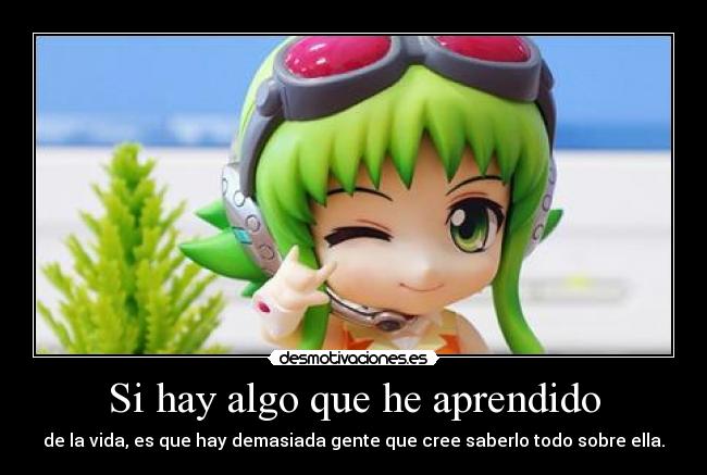Si hay algo que he aprendido -