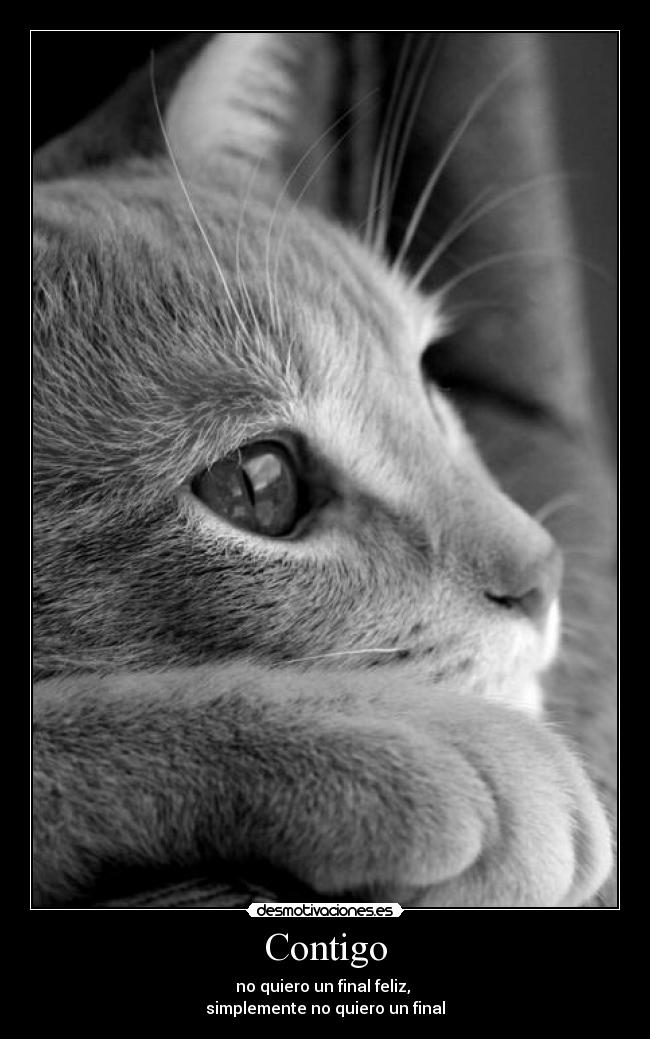 Contigo - no quiero un final feliz,
simplemente no quiero un final